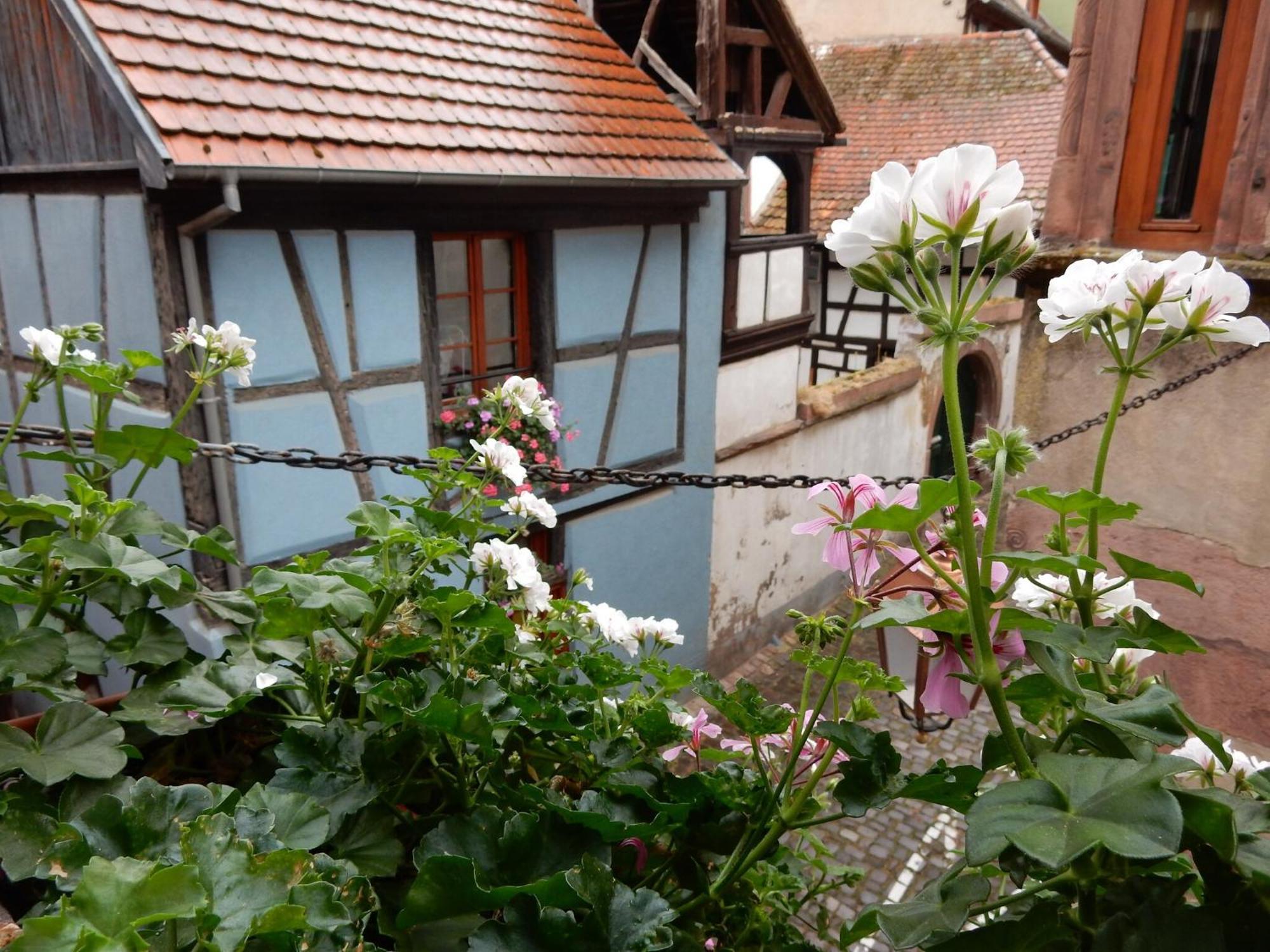 An Apartment In A 17Th Century Wine Grower S House 리크위르 외부 사진